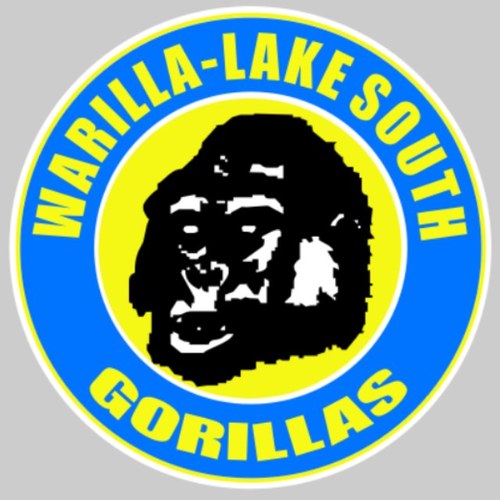 Warillagorillas's profile picture. Daytime or night time is always the right time!!!