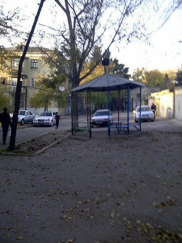 NarminAgacanova's profile picture. 