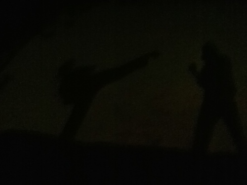 alejand93286811's profile picture. No tengo novia, así que vengan mamacitas