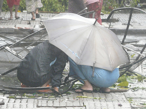 LiciaVer's profile picture. 