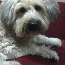 Patty kahn - @PattyKahn - Twitter