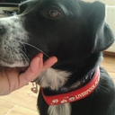 Helen Ewing - @hellieewing - Twitter