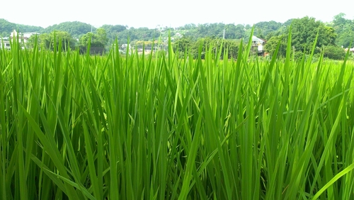 hug02108's profile picture. 