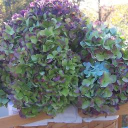 Njanesouth's profile picture. 