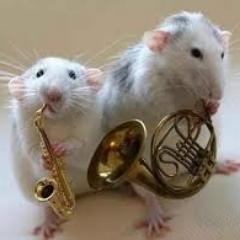 Philo Bands
