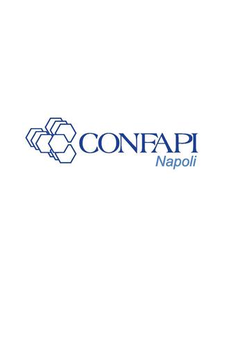 CONFAPI Napoli- Associazione delle Piccole e Medie Industrie di Napoli e provincia