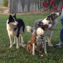 Gwyn Smith-Downes - @GSDWoodstock - Twitter