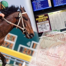 Increase my bet balance!! provides users with fantastic horse racing and sport tips as well as the big market movers!