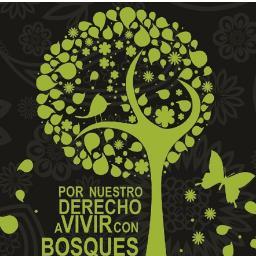 Programa Derechos, Cambio Climático y Bosques de CEPLAES - RFN
¡Por nuestro derecho a vivir con bosques!