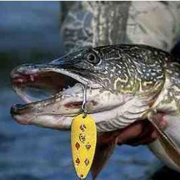 #UK #Fishing #Blog covering Tips, Articles, News and much more on everything fishing! Follow us - We follow back!