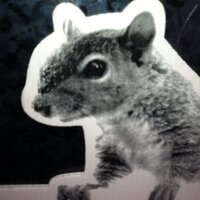 Tree (@tree_360) 's Twitter Profile