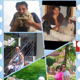 Gadv_Mickyd's profile picture. My wife and my dogs are my life, I take care and protect animals, I thanks a God everyday and live with honesty and humility