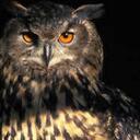 Clint Hubbard - @clint_hubbard - Twitter