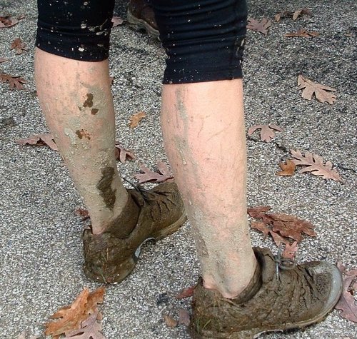 Crystaliannetta's profile picture. Lover of Jesus Christ (by grace), wife of the one and only, super hot, Scott Iannetta, mother of 2 beautiful girls and 2 handsome boys.