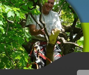 Tree lover with great kids. Dirt biking and horseback riding and camping