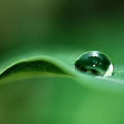 Interested in Science, Caring for Environment. Nature lover.