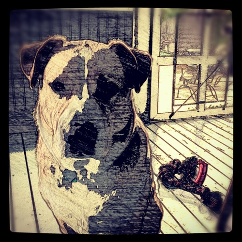 jackattack800's profile picture. 