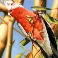 wael20092009200's profile picture. 