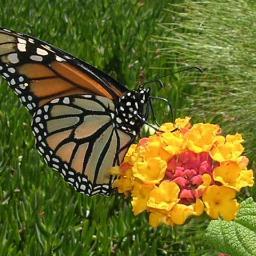 karymorena's profile picture. 