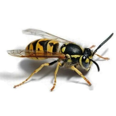 Evgen_Osin's profile picture. СММ, СЕО, СМО, #PR #FollowBack Взаимный фолловинг --- все что можно, все взаимно! Изучаю возможности интернет заработков! Люблю общение!