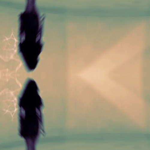 you're in the clouds, i'm in space ~stonerchick~oldsoul~23~so.fla~gettingthere