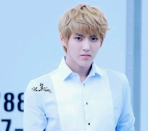 Exo M's Leader • EXO United #RPWithNoAgency #PucukFams #LindoUnido