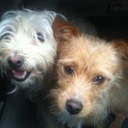 Alexia Nicolaou - @AlNicD - Twitter