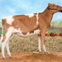 Mikayla Mann - @mickeyrae21 - Twitter