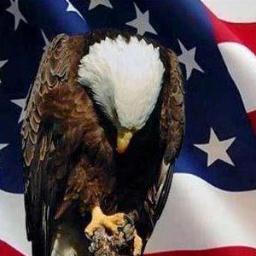 ORLiber_T's profile picture. Question with Boldness.
Hold to the Truth.
Speak without Fear.
#WAR