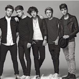 Mesmo q um dia a banda n exista mais,nunca deixarei de ser directioner!!!Amo vcs e sempre irei amar,principalmente o Harry,meu lover