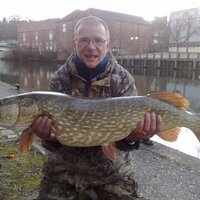 Aaron john perry (@norfolkcarp) Twitter profile photo
