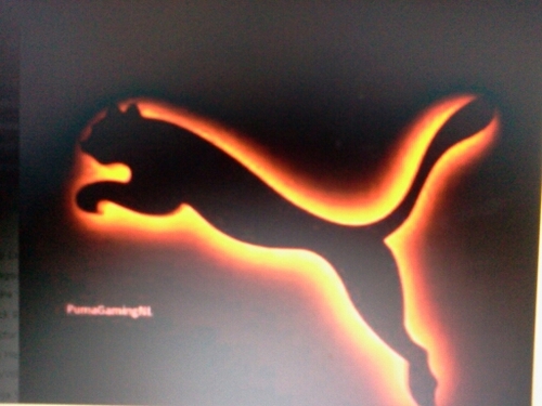PumaGamingNL is een GameKanaal dus aboneer en like ons. #TeamFollowBack