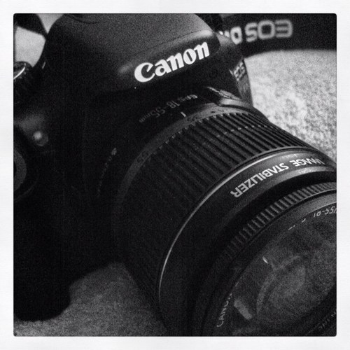 SilkSkyPhoto's profile picture. I love taking pictures! Contact me and get a session!