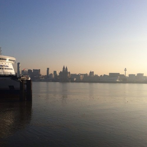 Davidgo22502244's profile picture. 