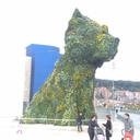 Ben Bos - @bbos72 - Twitter