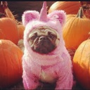 Emily Maynard - @bigtittybaybee - Twitter