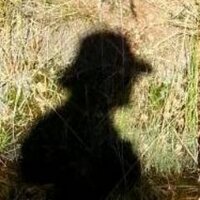Piet de Visser (Не надо было трогать Мрию!) (@pdevisser) 's Twitter Profile