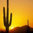 Social In Scottsdale (@SocInScottsdale) Twitter