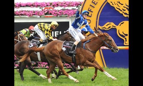 Star Witness - Champion 2 year old and Champion 3 year old - standing at the Valley of Champions @widdenstud