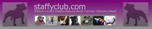 Come and join us to talk all things Staffy and share your knowledge, stories and share our love of this wonderful breed