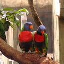 Sandy Wolfe - @sandykw02 - Twitter