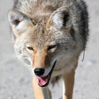 Mariano R. (@trek_970) 's Twitter Profile Photo Mariano R. (@trek_970) 's Twitter Profile Photo