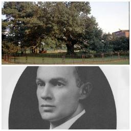 AruthurOakHowe's profile picture. President: Arthur Howe
Building: Emancipation Oak
Tianna Bailey University Section H5