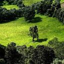 mohammed___Aldewil (@0533825797) Twitter