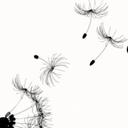 dallas lee - @disneyfreaq - Twitter