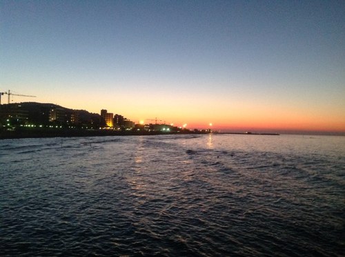 pcampamy's profile picture. 