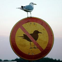 VitaliyIVI's profile picture. 