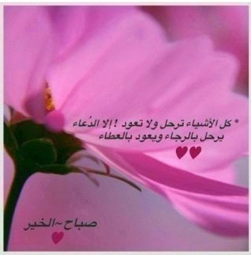 وصيتي حين وفاتي.   لا تهجروني.  ولا تحرموني من الدعوات. سامحوني جميعكم. واغفروا زلاتي. فالدنيا أصبحت مخيفة. حللوني فالموت ...... لا يستأذن أحد