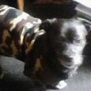 Julio Lazo - @Julioxxiii - Twitter