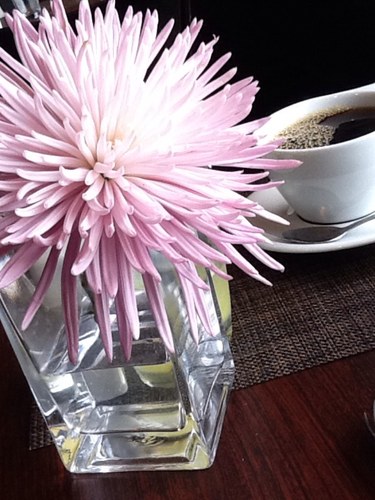 Halah_B_S's profile picture. 